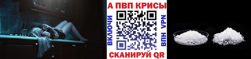 Купить закладки  Судак  Alpha PVP VHQ 