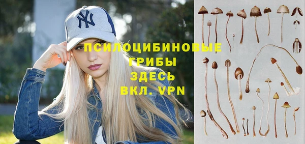 бутират Алзамай
